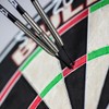 Bulls NL Bull's Steel Darts Dirk Van Duijvenbode The Titan