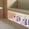 Case 2x 4x 8x Magnetic Drop Side Shoe Box Storage
