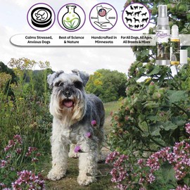The Blissful Dog Schnauzer Relax Roll-ON Aromatherapy for Dogs - Anxiety Relief for Dogs
