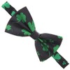Zac's Alter Ego Fancy Dress Clover Leaf Bow Tie