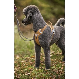 Hurtta Warrior Harness (15.7 - 17.7 inches (40 - 45 cm), Camel Brown)