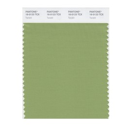 PANTONE Smart 16-0123X Color Swatch Card, Tendril