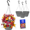 Hanging Baskets 4 Piece Kit with Beautiful Baskets Seeds by