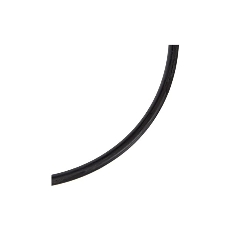 Askoll guarnizione pratiko 100/200 (922705) (1000047688)