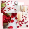 SOFPLATE 200Pcs Red Silk Flower Petals Faux Rose Petal for
