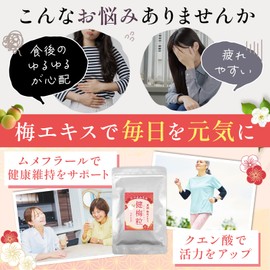 梅肉エキス 梅エキス 梅肉エキス粒 健梅粒 塩分不使用 和歌山県産 飲みやすい粒タイプ サプリメント 約200粒 1か月分 (50g1個)