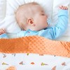 LAT Baby Blanket, Children's Blanket with Minky, Cuddly Blanket, Baby