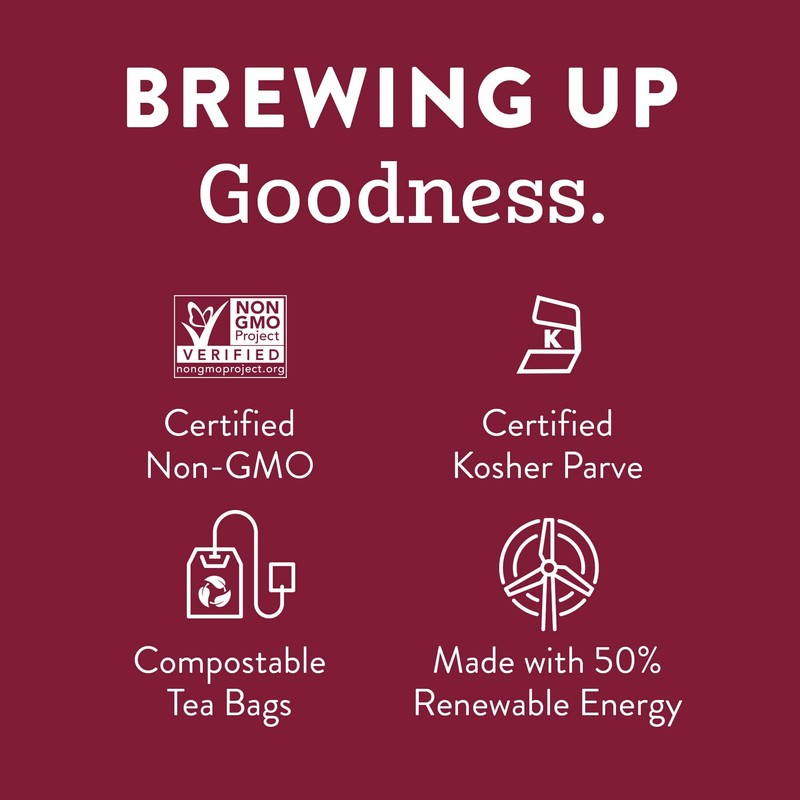 Stash Tea Green Chai Tea, 20 Count Tea Bags in