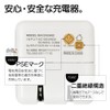 RAC2A2A02MCC USB Charger, AC USB-A, 2 Ports, Smart IC Included,