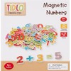 Tidlo T0074 Wooden Magnetic Numbers and Symbols (100 Pieces),Multi-colored,Small