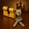 Euro Profile Cylinder 60 mm Solid Brass - Security Door