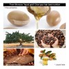 10 Pzas Aceite Morocco Argan Oil Hidratación Cabello Seco
