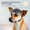 Dog Helmet with Anti-UV Clear Goggles Adjustable Cool Pet Motorcycle