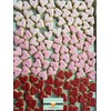 Mini Heart 1.5 Inch Cookie Cutter from The Cookie Cutter