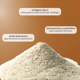 You Matter - Bones Pet, Colágeno Tipo Ii - Bote Con 350 G                                                                                             