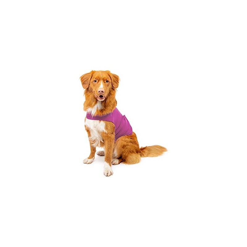 Mellow Shirt Dog Anxiety Calming Wrap, Small, Radiant Orchid