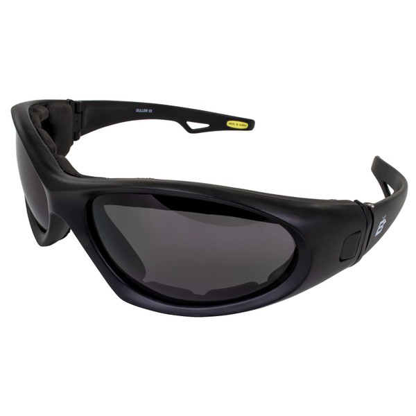 Birdz Eyewear Gull Jet Ski Watersport Floating Goggles Interchangeable from