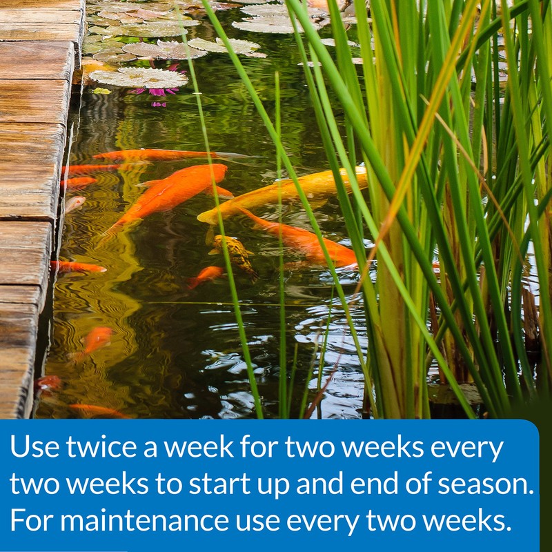 API POND-ZYME SLUDGE DESTROYER Pond Cleaner With Natural Pond Bacteria