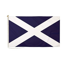 The Flag Wholesaler 5053737150802 DuraFlag St Andrews Navy Blue - Multi-colour, S