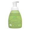 ATTITUDE Foaming Hand Soap for Kids, Plant and Mineral-Based Ingredients,