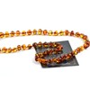 Baltic Amber Necklace for Adult - Natural Amber from Baltic