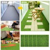 nalaina Artificial Grass Model, Set of 5, 5.9 x 5.9
