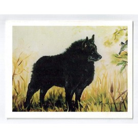 Ruth Maystead Schipperke in Field Notecard Set 12 Notecards with Envelopes