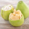 Unbranded Grapefruit PUMMELO ( Big White Fruit) 3ft Up Grafted