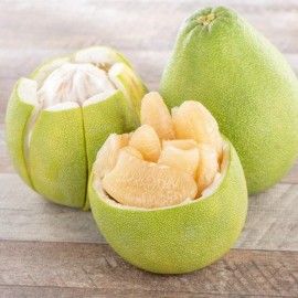 Unbranded Grapefruit PUMMELO ( Big White Fruit) 3ft Up Grafted Tree. No Shipping Ca.