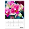 Orchids - Tropical Beauties (Wall Calendar 2025 DIN A4 High),