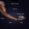 Pengwei Self-Starting Wrist Ball Gyro Ball Power Ball Exercise Arm