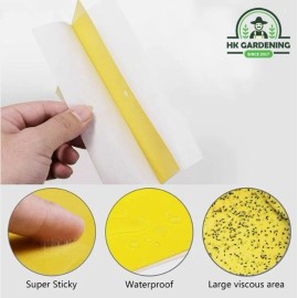 HK Gardening 2pk 20PCS 6"x8"Sticky Fly Trap Paper Yellow Traps FruitFlies Insect Glue Catcher
