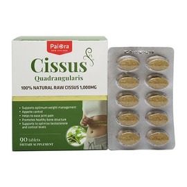 Pioneer Piora Cissus Caesar Extract 1000mg 90 Tablets x 2 + Additional Free Gift / 파이오라 시서스 시저스 추출물 1000mg 90정 2개 + 사은품 추가증정