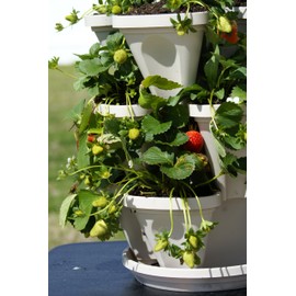 3 Tier Stackable Garden,Indoor,Outdoor Vertical Planter Set,Self Watering Tiers From Top Down,Smart Planting Pots,Used for Strawberries Herbs Peppers Flowers and Succulents (Stone)
