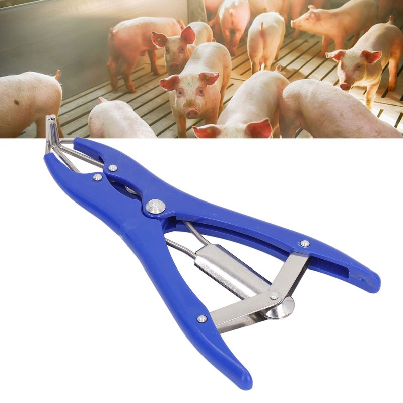 Castration Pliers Animal Tail Docking Clamp with 100 Red Rings