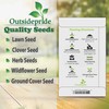 Outsidepride 10000 Seeds Annual Anagallis Arvensis Scarlet Pimpernel Flower Seeds