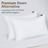 Fern and Willow Premium Queen Size Bed Pillows - Set