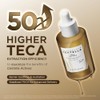 Skin1004 Madagascar Centella Teca Ampoule Korean Face Serum For Oil