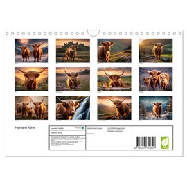 Highland Kühe (Wandkalender 2026 DIN A4 quer), CALVENDO Monatskalender
