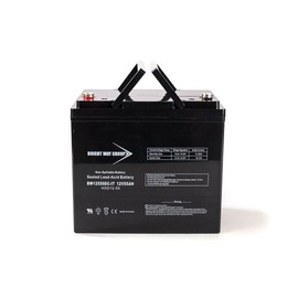 Bright Way Group 12V 55AH SLA Battery IT Terminal