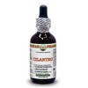 Hawaii Pharm Europe Cilantro (Coriandrum Sativum) Dry Leaf Alcohol-Free Liquid