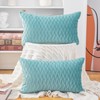 Madizz Pack of 2 Super Soft Velvet Decorative Cushion Covers