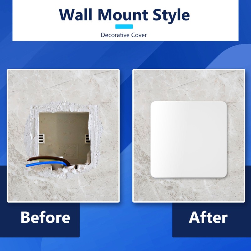 LIDER Screwless 1-Gang Blank Wall Plate, Flat Cover for Standard