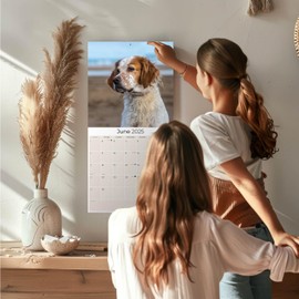 2024 2025 Brittany Calendar - Dog Breed Monthly Wall Calendar - 12 x 24 Open - Thick No-Bleed Paper - Giftable - Academic Teacher's Planner Calendar Organizing & Planning - Made in USA