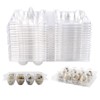 QIUMING 12 Grid Quail Egg Boxes Quail Egg Boxes Quail