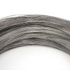VIGAN 10m Stainless Steel Spring Wire Rope (0.3-3mm) Polished Silver