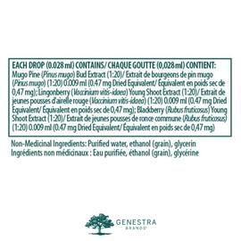 Genestra Brands - Osteo-gen - Mugo Pine, Lingonberry, and Blackberry Herbal Supplement - 15 ml Liquid