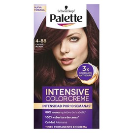 Palette Tinte para cabello Color Creme Castaño Rojizo 4-88, 50 ml