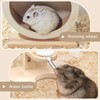 2 Pcs Wooden Hamster Wheel & Water Bottle Holder Set,
