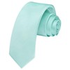 HISDERN Mint Green Tie Silk Skinny Tie Slim ties For